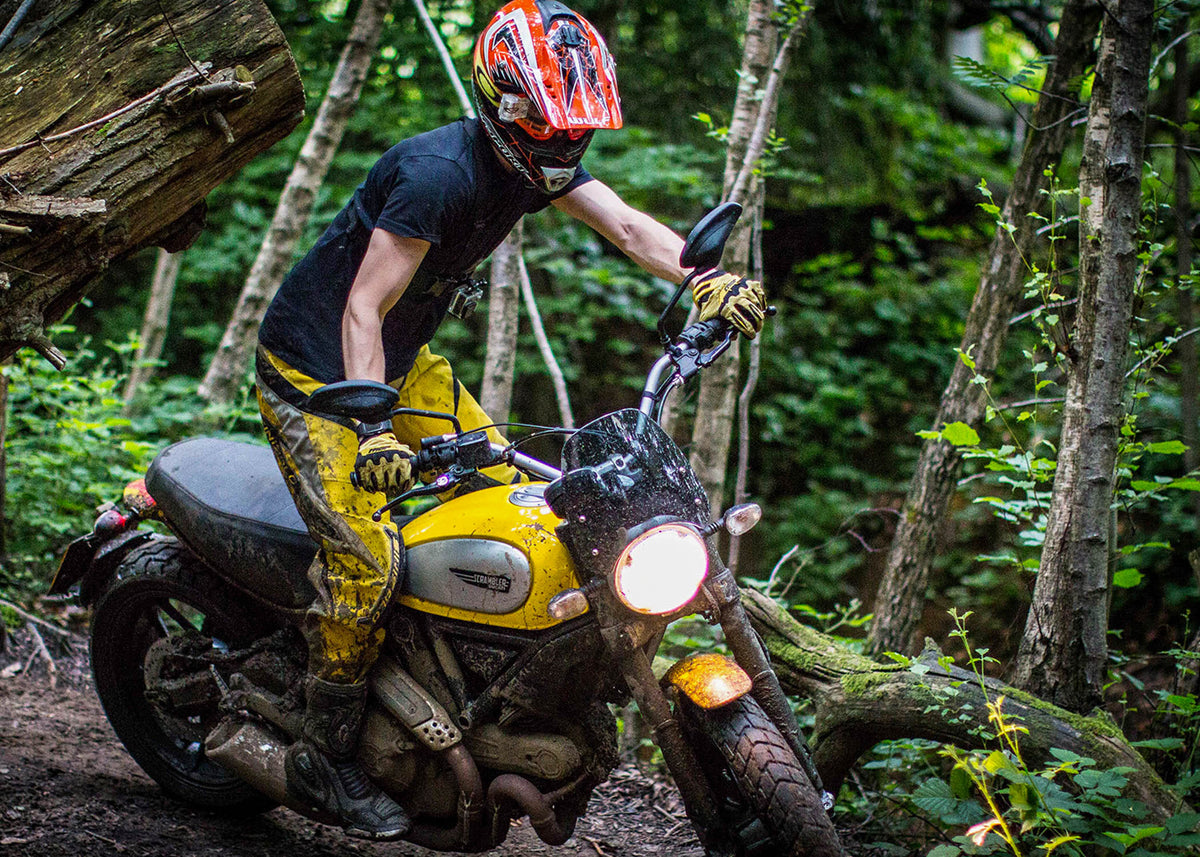 Ducati Scrambler