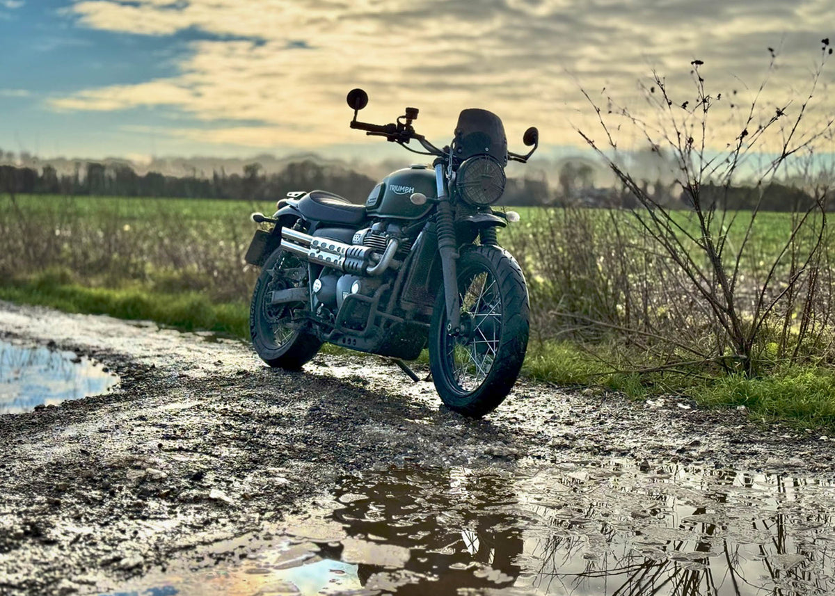 Triumph Street Scrambler / Scrambler 900 up to 2025